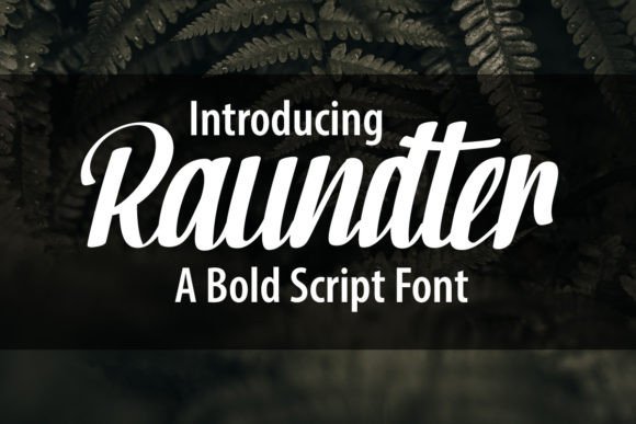 Raundter: A Bold Script Font for Modern Web Design