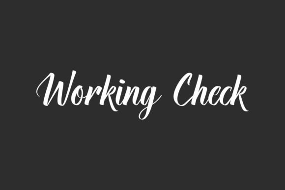 Working Check: A Thoughtful Display Font for Digital Brands